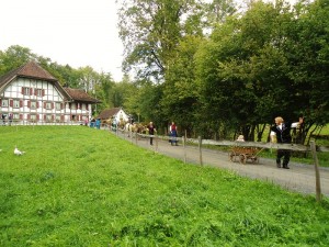 Ballenberg Almabtrieb (C) Conti-Reisen