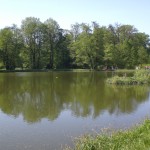 Arboretum in Kornik (C) Conti-Reisen