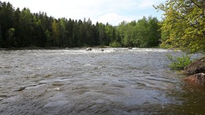 Stromschnellen am Kymi Fluss © Günther Krumpen