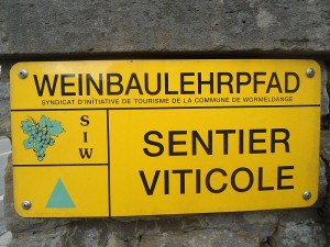 Weinwanderungen (c) Krumpen