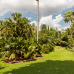Botanischer Garten