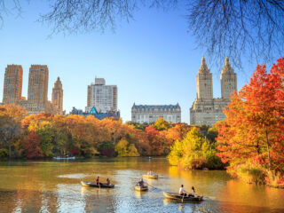 Central Park - Copyright Susanne Metz